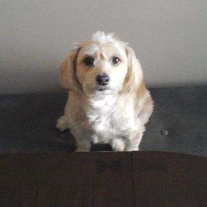 Meet your Posher, Beverly